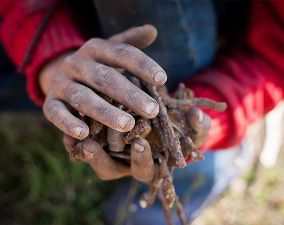 Human rights-child labour-iStock-614637142-lg-card