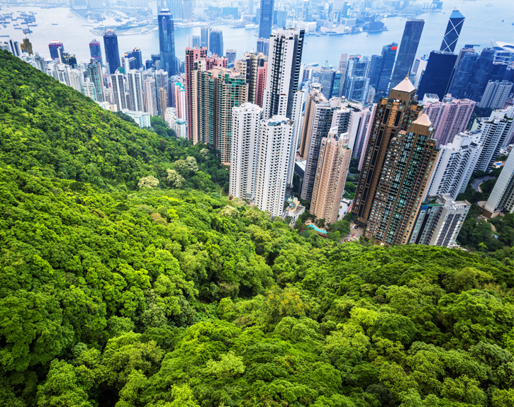 outlooks-gettyImages-491142481