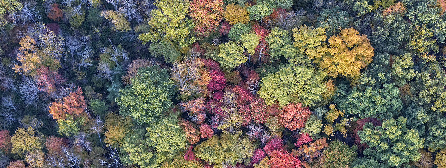 Enviro-climate change-iStock-500037552