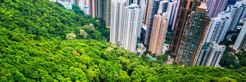 Outlooks - Main image